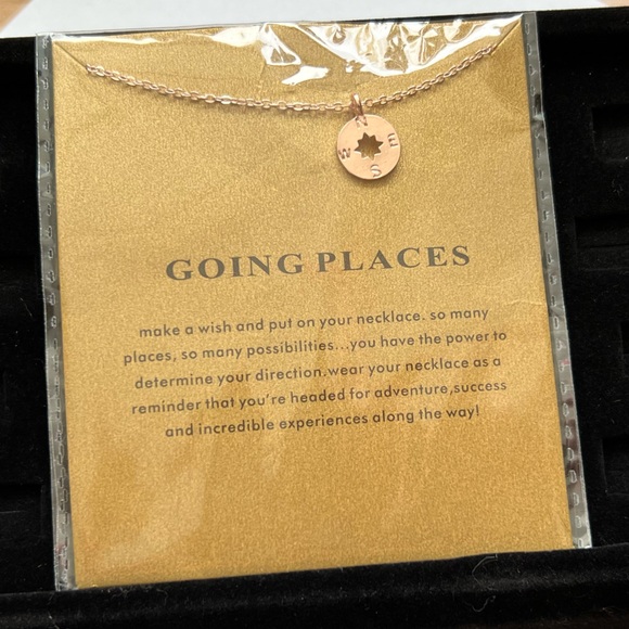 Boutique Jewelry - NWT Rose Gold Compass "Going" Places Pendant Necklace